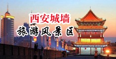 又粗又大黄色日皮视频中国陕西-西安城墙旅游风景区